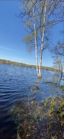 Участок 1,08 га (ИЖС)