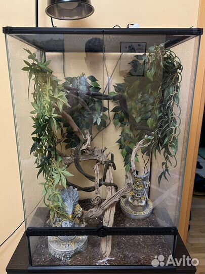 Принадлежности для террариума