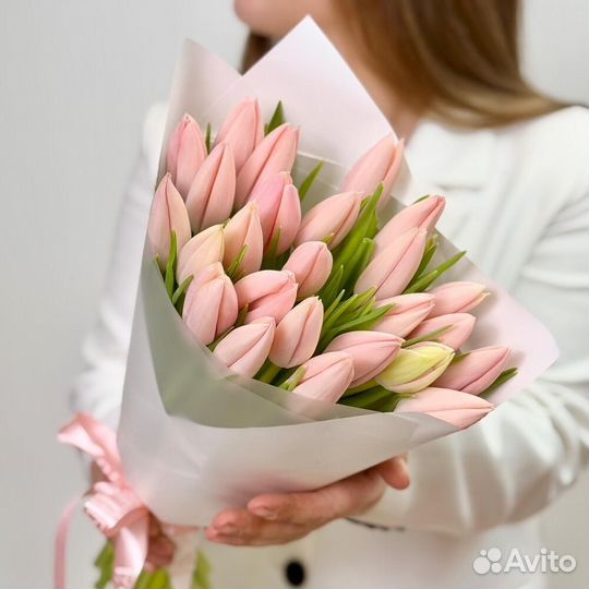 Тюльпан премиум