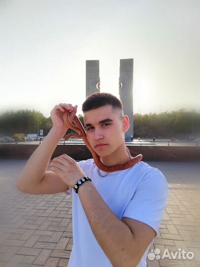 Рептилии для фотосессии