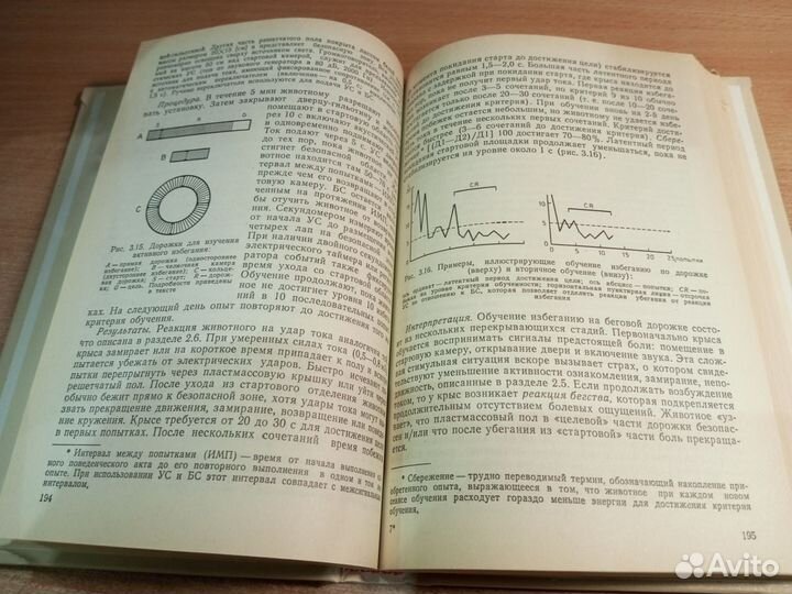 Методики изучения мозга