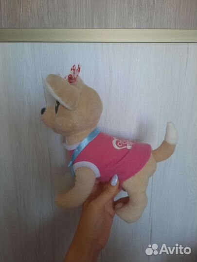 Собака CHI CHI Love