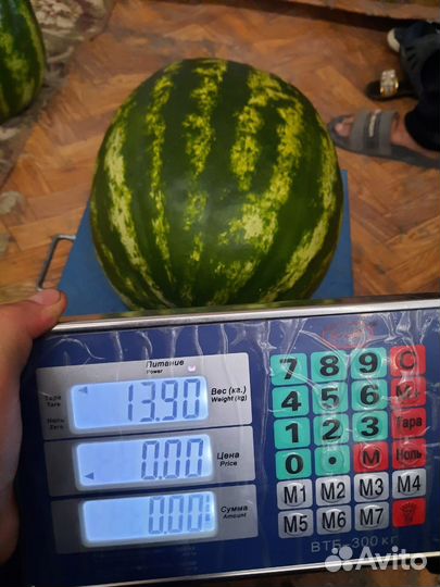 Продам арбуз оптом