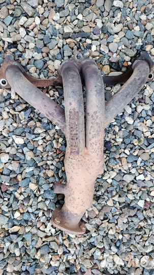 Паук Стингер 8кл