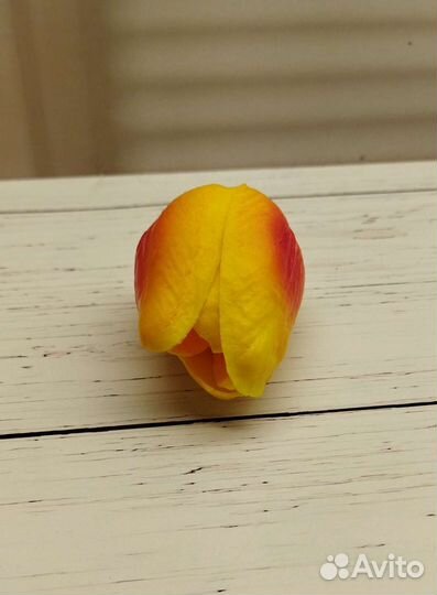 Бутон тюльпана (латексные)