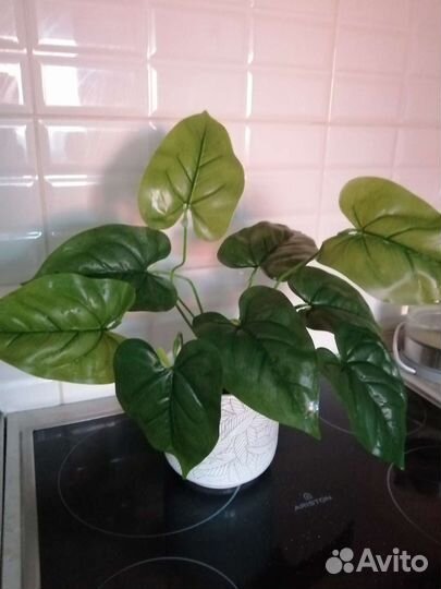 Искусственные цветы IKEA