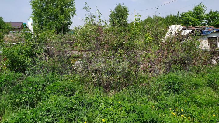 Участок 3,7 сот. (СНТ, ДНП)