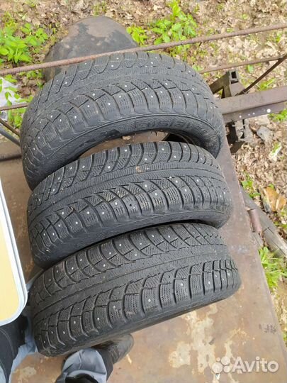 Gislaved Nord Frost 5 195/65 R15