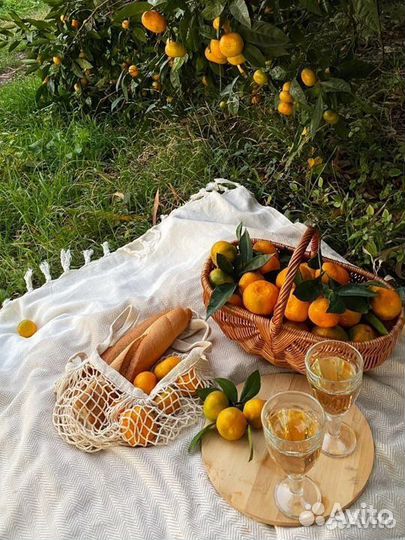 Корзина плетеная для пикника и менажница