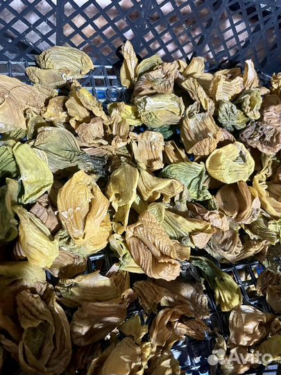 Пленка куриных желудков