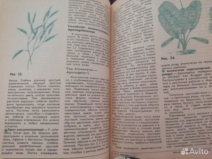 Аквариумные растения Жданов