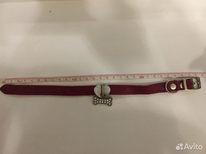 Ошейник для собак