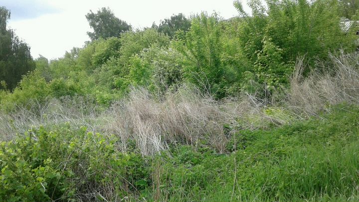 Участок 22 сот. (ИЖС)