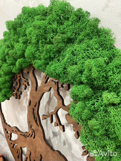 Панно из мха