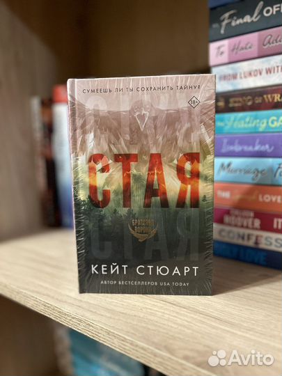 Стая — Кейт Стюарт