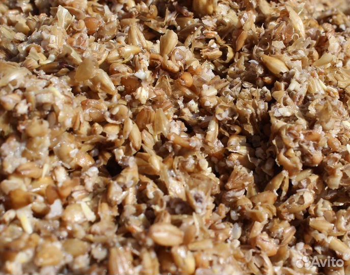 Пивная дробина