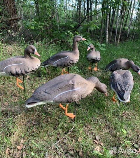 Чучела гусей для охоты живое перо North way Alfa