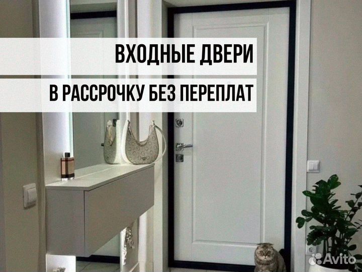 Дверь входная аргус