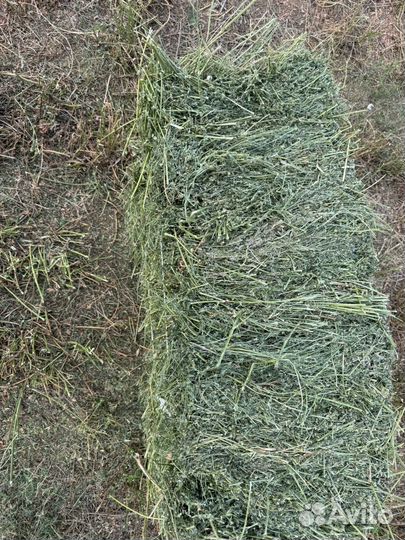 Сено люцерны 2 кос и солома проса