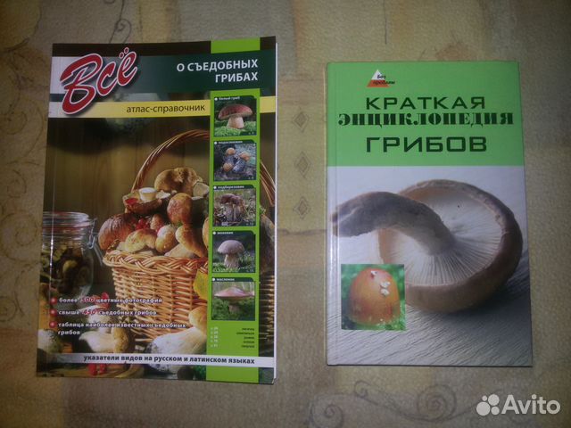 Съедобный атлас. Кулинарный атлас. Кулинарная география. Лучшие блюда мировой кухни книга. Съедобный атлас.