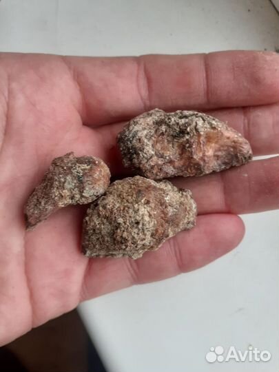 Живица (Ёлка)