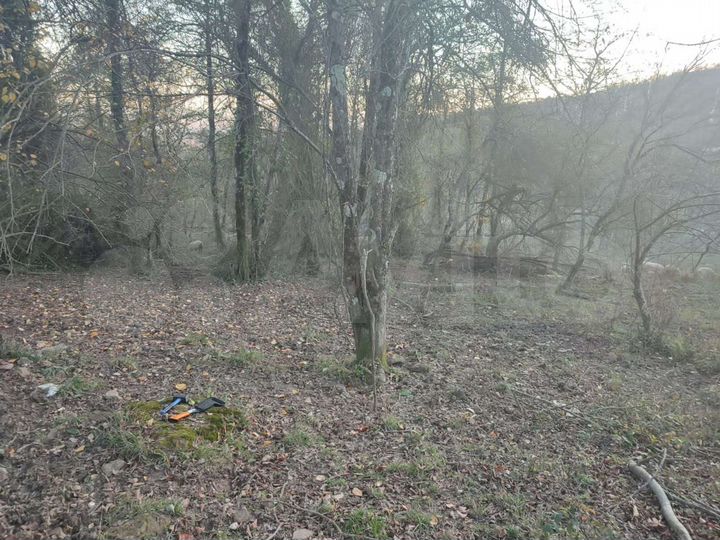 Участок 5 сот. (СНТ, ДНП)