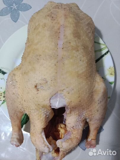 Мясо уток