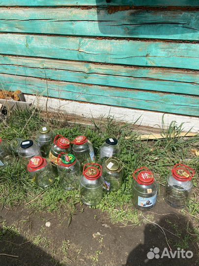 Банк стеклянные 3 литра с ручками