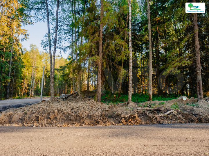 Участок 12 сот. (СНТ, ДНП)