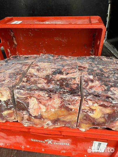 Говяжья тех.обрезь для животных оптом