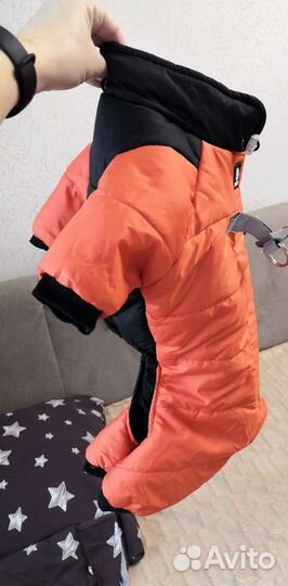 Одежда для собак