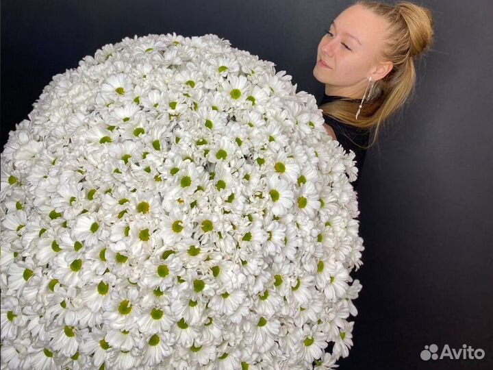 Букет 101 хризантема Доставка цветов хризантем 15