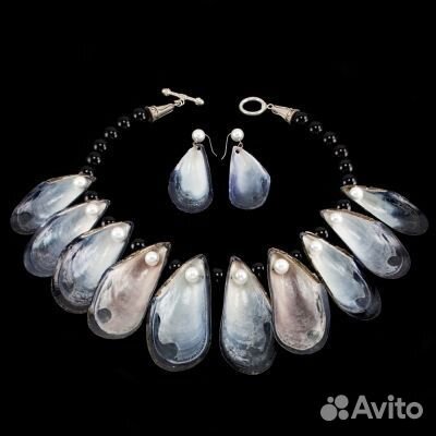 Ракушка морская. Раковины черноморские