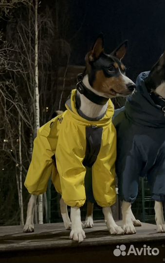 Комбинезон демисезонный для собаки (кобель)