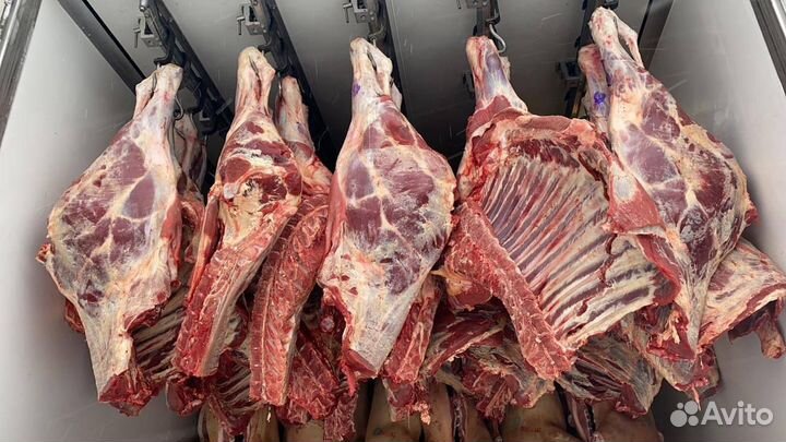 Мясо говядина