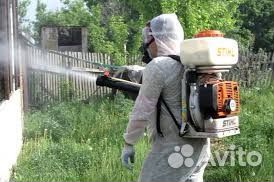 Обработка территории от комаров, мошки, клещей, ос