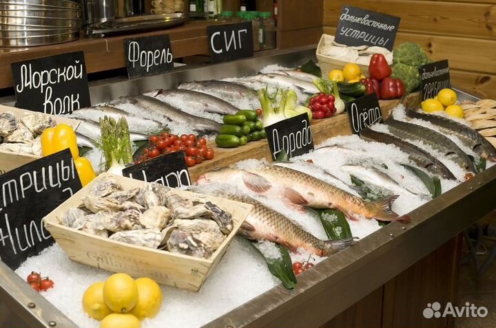 Готовый бизнес: рыба и морепродукты