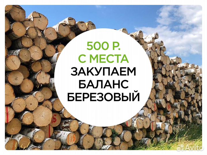 Баланс березовый, тонкомер