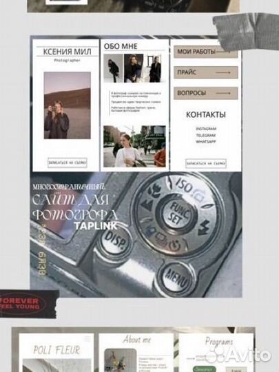 Веб дизайнер