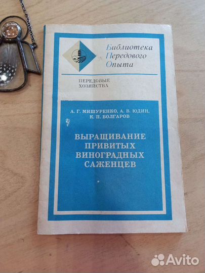 Выращивание привитых виноградных саженцев