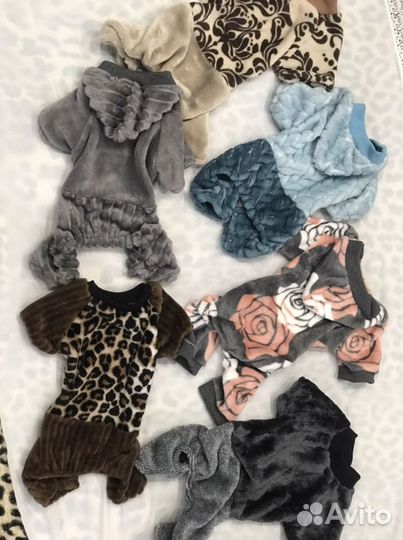 Одежда для маленьких собак