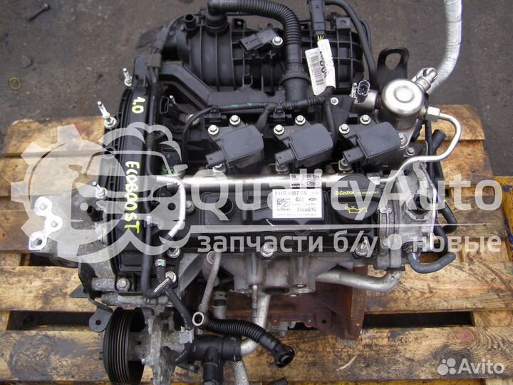 Двигатель Ford Focus 1.0 л M1DD
