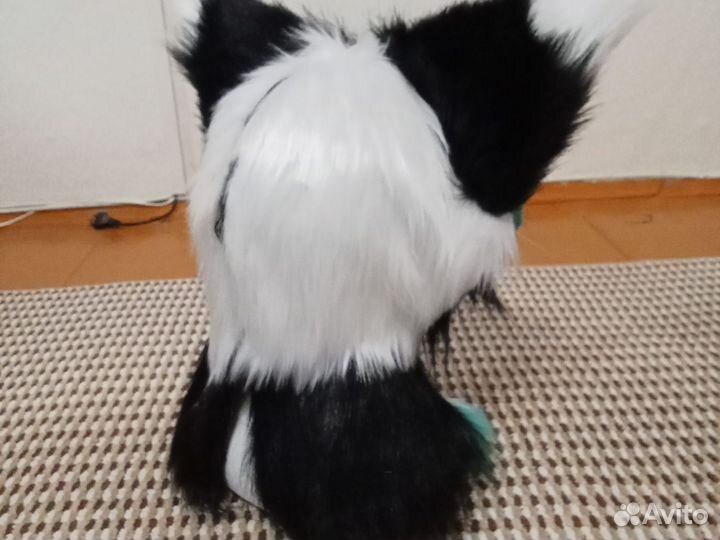 Фурсьют собаки