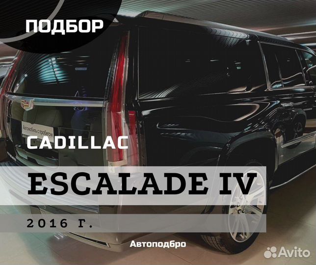 Услуги автоподбора, выездная диагностика авто