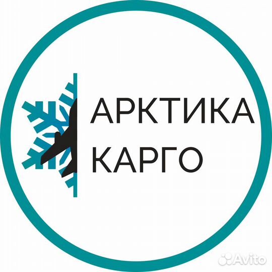 Ооо арктика