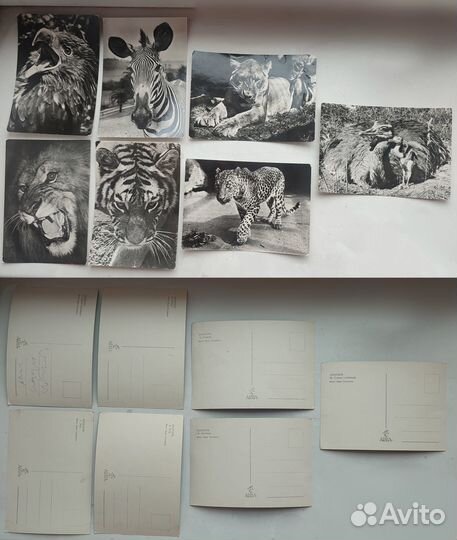 Открытки СССР, Чехословакия, Германия (животные)