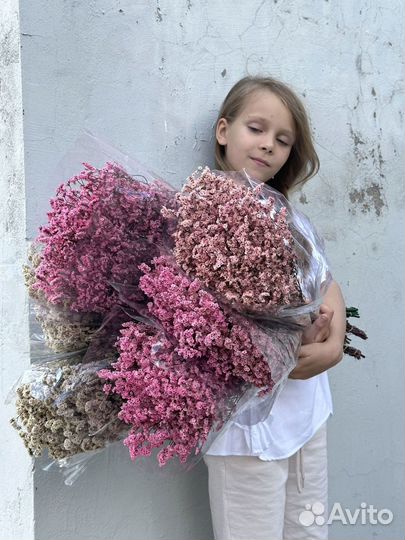 Сухоцветы Лимониум стабилизированный