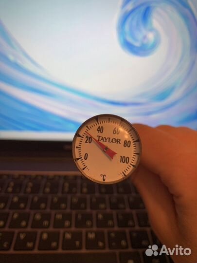 Термометр Taylor