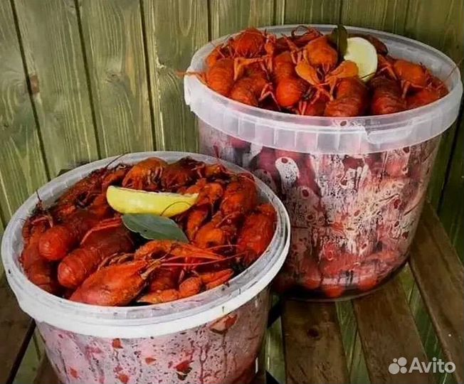 Раки вареные