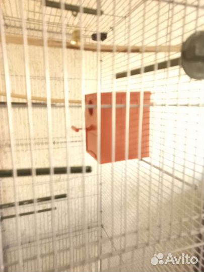 Клетка для попугая большая